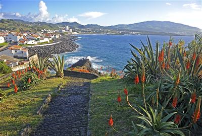 Portugal_Azoren_Ponta Delgada